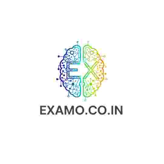 Examoresizer right logo